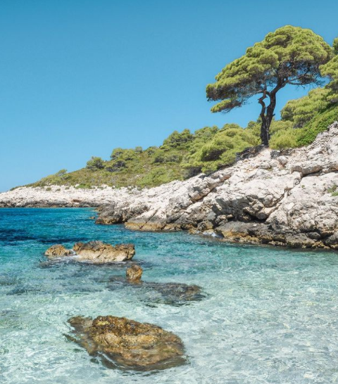 Grundstück direkt am Meer – Insel Sipan, Dubrovnik – 115539m2